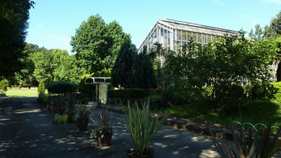 🌸 노베오카 식물원 (노베오카 쇼쿠부츠엔) 이미지 7